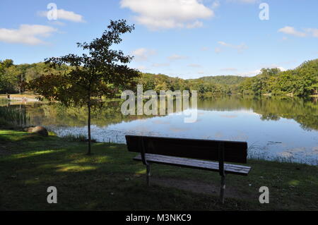 Banc avec vue sur un lac calme avec des arbres se reflétant dans l'eau Banque D'Images