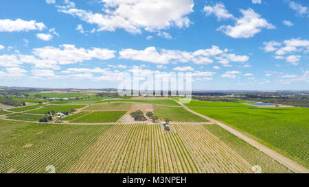 Drone aérienne de la Barossa Valley, région viticole importante de l'Australie du Sud, vue sur des rangées de vignes et de paysage pittoresque. Banque D'Images