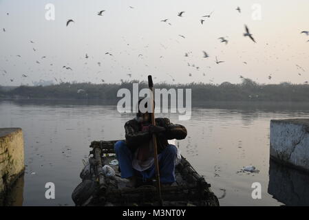 Infini de migrateurs Oiseaux Mouette Sibérie volent le matin avec le lever du soleil à Banque Yamuna river, Delhi, Inde, Asie Banque D'Images