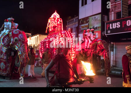 Sri Lanka Kandy Esala Perahera parade de costumes éléphants caparaçon procession à nuit homme portant la flamme de feu Banque D'Images