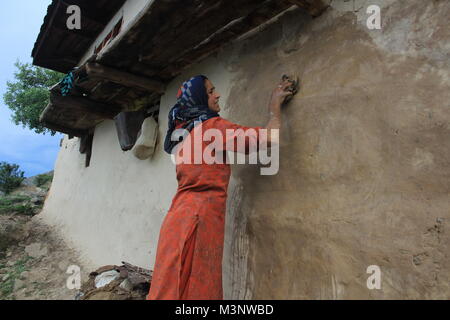 Femme du Cachemire l'application de la bouse de vache sur les murs, kupwara, Cachemire, Inde, Asie Banque D'Images