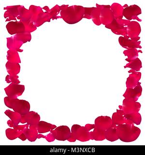 Modèle d'invitation de pétales de rose. Illustration de Vecteur