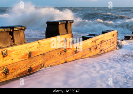 Épi pin richement colorés sur la plage d'hiver avec mer agitée sur journée ensoleillée en Bexhill-on-sea, Angleterre Banque D'Images