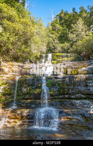 Cascades, Chutes Liffey inférieur, Tasmanie, Australie Banque D'Images