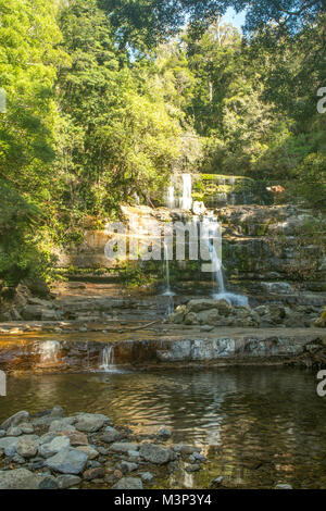 Cascades, Chutes Liffey inférieur, Tasmanie, Australie Banque D'Images