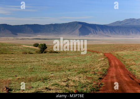 Route de terre menant à la prairie dans le cratère du Ngorongoro, en Tanzanie Banque D'Images