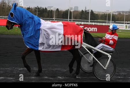 Paris, France. Feb 11, 2018. Cheval de défilé au cours de la 2018 Grand Prix de France, les courses de chevaux le 11 février 2018 à l'Hippodrome de Vincennes à Paris Paris, France - Photo Laurent Lairys / DPPI Crédit : Laurent Locevaphotos Lairys/agence/Alamy Live News Banque D'Images