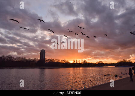 Hyde Park, London, UK. 12 février 2018. Coucher de soleil sur le lac Serpentine, à Hyde Park. Crédit : Matthieu Chattle/Alamy Live News Banque D'Images