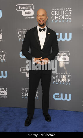 23 Le Critics Choice Awards annuels comprennent des arrivées : où : Los Angeles, California, United States Quand : 11 Jan 2018 Apega/WENN.com Crédit : Banque D'Images