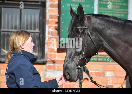 Corton noir est exhibé lors de la visite de Paul Nicholls stable' cour à Manor Farm Stables, Ditcheat. Banque D'Images