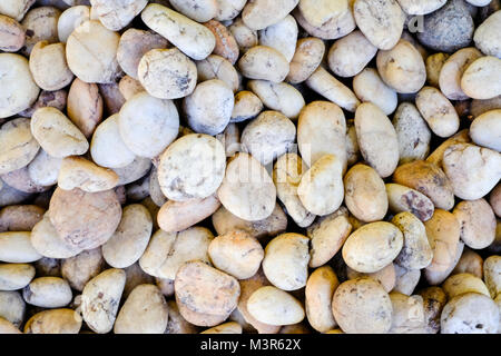 Extrait naturel ronde lisse pebbles sea texture background Banque D'Images