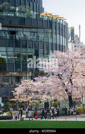 L'île de Honshu, Japon, Tokyo, Kanto, le quartier de Roppongi Midtown au printemps. Banque D'Images