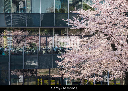 L'île de Honshu, Japon, Tokyo, Kanto, le quartier de Roppongi Midtown au printemps. Banque D'Images