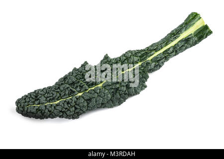 Chou noir, kale italien isolé sur fond blanc Banque D'Images