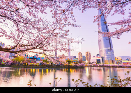 Séoul, Corée - 7 avril, 2016 : Lotte World Seokchon Lake Parc de nuit et de cerisiers en fleurs du printemps à Séoul, Corée du Sud le 7 avril 2016 Banque D'Images