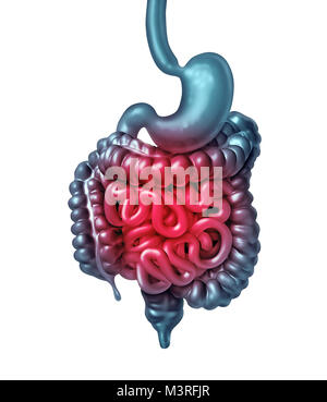 Intestin douloureux et la douleur gastro-intestinale ou d'inflammation digestion digestion comme problème d'inconfort ou de la constipation et de l'infection. Banque D'Images