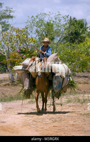 Le Brésil. Aracoiaba. Agriculteur à cheval comme animal pack. Banque D'Images