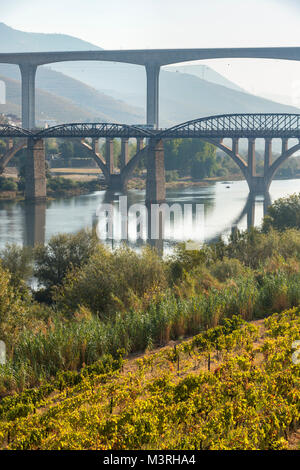 Ponts sur le fleuve Douro à Peso da Régua, dans la région viticole du Haut-Douro, Nord du Portugal Banque D'Images