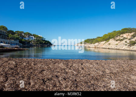 Côte bleue de Portinatx sur l'île de Ibiza, Espagne Banque D'Images