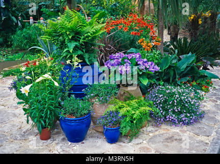 Collection de pots colorés plantés dans un jardin méditerranéen Banque D'Images