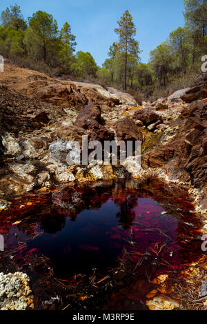 Couleurs fantastiques de Rio Tinto à proximité de sa source. La rivière est célèbre pour sa couleur rouge profond en raison de la forte concentration de sels de fer et de sulfates Banque D'Images