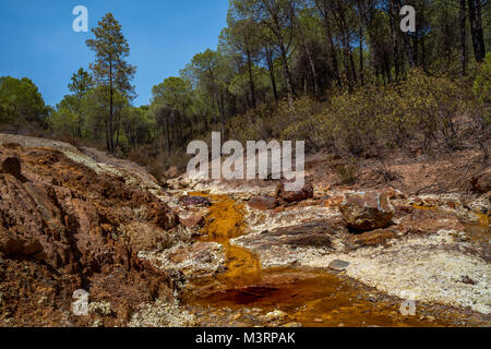 Couleurs fantastiques de Rio Tinto à proximité de sa source. La rivière est célèbre pour sa couleur rouge profond en raison de la forte concentration de sels de fer et de sulfates Banque D'Images