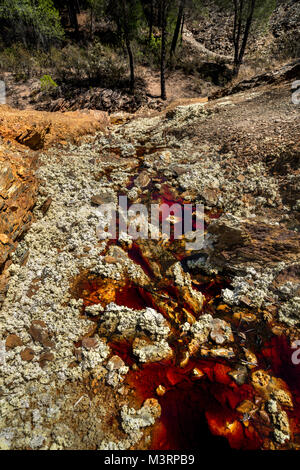 Couleurs fantastiques de Rio Tinto à proximité de sa source. La rivière est célèbre pour sa couleur rouge profond en raison de la forte concentration de sels de fer et de sulfates Banque D'Images