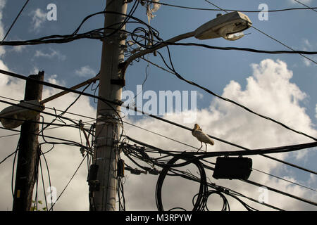 Pôle de télécommunications et d'éclairage de rue contre un ciel lumineux, Ocho Rios, Jamaïque, Antilles, Caraïbes Banque D'Images