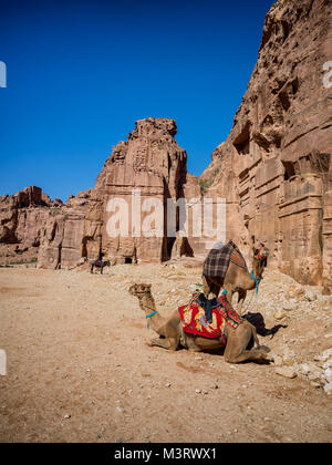 Maisons de logements dans la cité perdue de Petra en Jordanie Banque D'Images