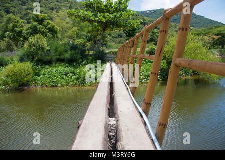 Pont suspendu, traverser la rivière, ferriage dans les bois Banque D'Images