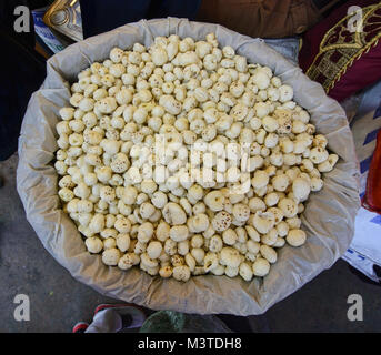 Noix et fruits séchés en vente dans le Khari Baoli Spice Market, Old Delhi, Inde Banque D'Images