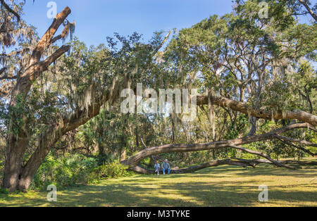 Scènes de la nature dans un jardin du nord de la Floride. Banque D'Images