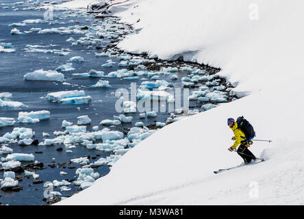 Professionnel Féminin de ski alpin ski alpin guide alpiniste en Antarctique ; RongÃ© Island ; la péninsule Arctowski Banque D'Images