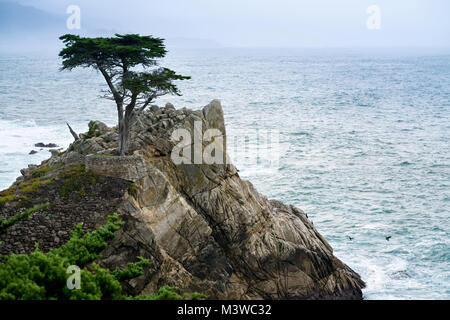 Plage de galets à San Francisco Banque D'Images