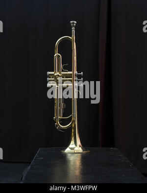 Une partie de l'orchestre de cuivres Trompette instrument bruyant Banque D'Images