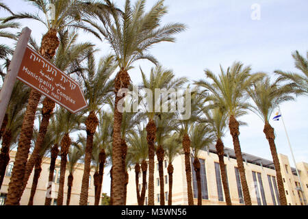 Les palmiers dans Jérusalem's Square Safra a dû être retiré après cette photo a été prise. Banque D'Images
