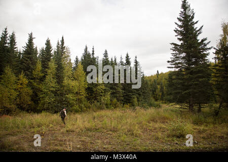 Après repérage des traces de pneus sur le côté de la route, James Wendland étudie ce qu'ils mène à at Joint Base Elmendorf-Richardson, en Alaska. Wendland a vu les pistes avant de conduire à des tas de détritus de déversements illégaux ou la chasse. (U.S. Air Force photo/Senior Airman Andrew Lee) 130918-F-NL936-656 par AirmanMagazine Banque D'Images