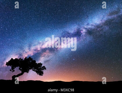 Voie Lactée avec crooked tree vieux seul sur la colline. Paysage de nuit avec des voie lactée, ciel étoilé, arbre, lumière jaune en été. Bac d'espace Banque D'Images