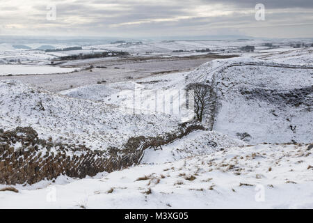 Mur d'Hadrien : la vue à l'ouest de rochers escarpés, à la recherche sur Highshield Sycamore Gap et sur les rochers et à Peel Crags essuie Banque D'Images