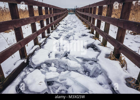 De la glace sur une passerelle en bois tressé sur satellite de la rivière Narew dans Waniewo village, partie du Parc National de Narew dans Podlaskie Voivodeship de Pologne Banque D'Images