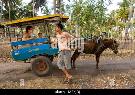 Paysage Pittoresque. Coucher de soleil à l'île de Gili Meno. Lombok, Indonésie. Promenade à cheval. Sur l'île de Gili Meno il n'y a pas de transport motorisé et le seul m Banque D'Images