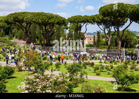 ROME, ITALIE - 22 avril 2017 : La célèbre roseraie municipale sur la colline Aventino, dans le centre de Rome. Il est ouvert au printemps et en été et Banque D'Images