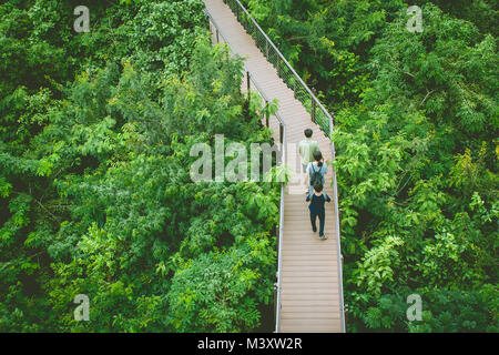 Top View sky walk ou une passerelle en bois croix sur treetop entouré de vert et naturel du soleil dans un style vintage. Banque D'Images