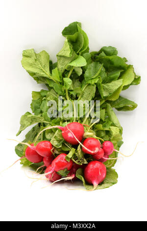 Radis rouge savoureux avec des tiges vertes disposées sur un fond blanc. Banque D'Images