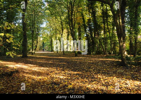 Marcher le long de bois dur à Lytham vert dans le Lancashire UK Banque D'Images