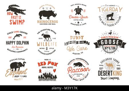 Wild Animal Set de badges et grand air insignes de l'activité. Retro illustration de badges des animaux. Camping typographiques style. Wild Animal vecteur logos avec effet typographique. Citations de l'Explorateur Illustration de Vecteur