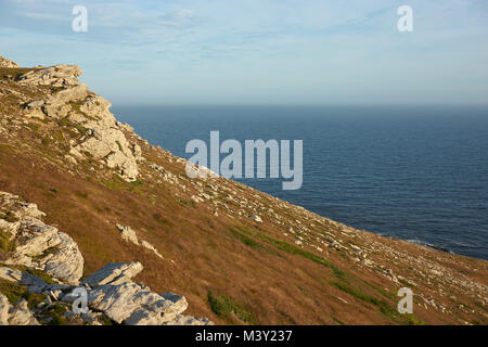 Piton rocheux dans la zone centrale de l'île de la carcasse dans les îles Falkland Banque D'Images