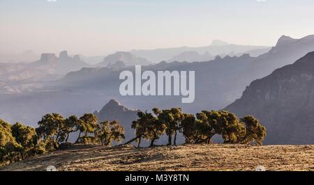 L'Éthiopie, région d'Amhara, déchargent des montagnes du Simien, parc national classé au Patrimoine Mondial par l'UNESCO, sur la montagne du Simien Banque D'Images