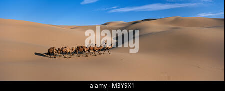 La Mongolie, l'Omnogov Province, le Parc National de Gobi, désert de Gobi, Khongoryn Els Dune, les chameaux de Bactriane Banque D'Images