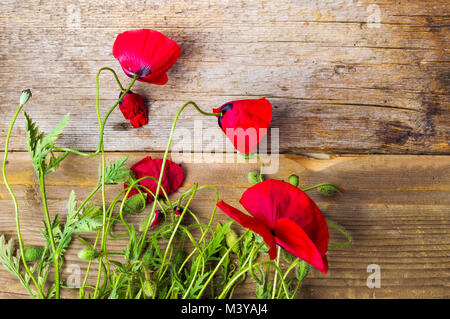 Rouge Coquelicot sur fond de bois Vue de dessus Banque D'Images